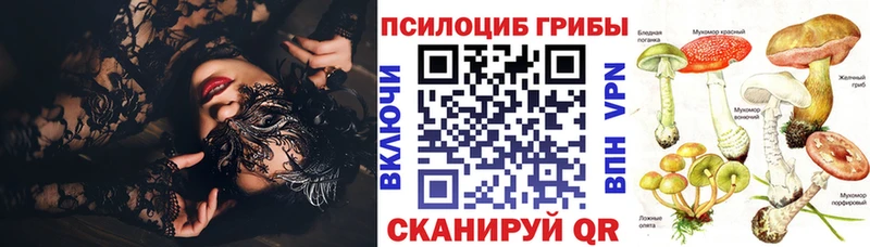 Галлюциногенные грибы Psilocybe  Долинск 